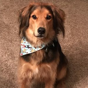 Meet your Posher, Cindy